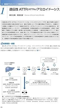 アミロイドーシス診療ガイドライン2025 | 日本アミロイドーシス学会