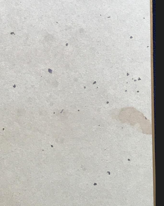 ・ZARD 坂井泉水　直筆「色紙」