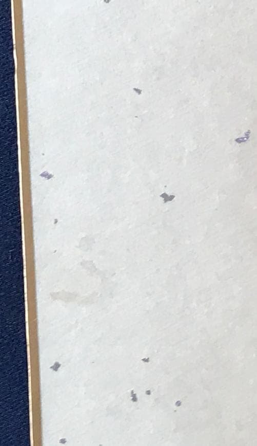 ・ZARD 坂井泉水　直筆「色紙」